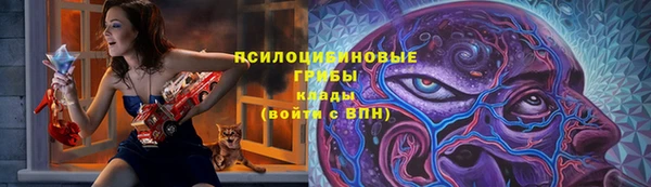 дурь Богородск