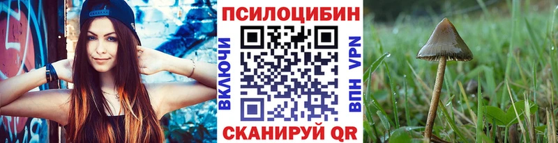 наркошоп Шахунья Псилоцибиновые грибы прущие грибы